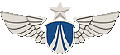 铁血军团空军胸标