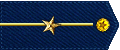 铁血军团空军少尉