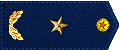 铁血军团空军少将