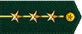 铁血军团陆军上尉
